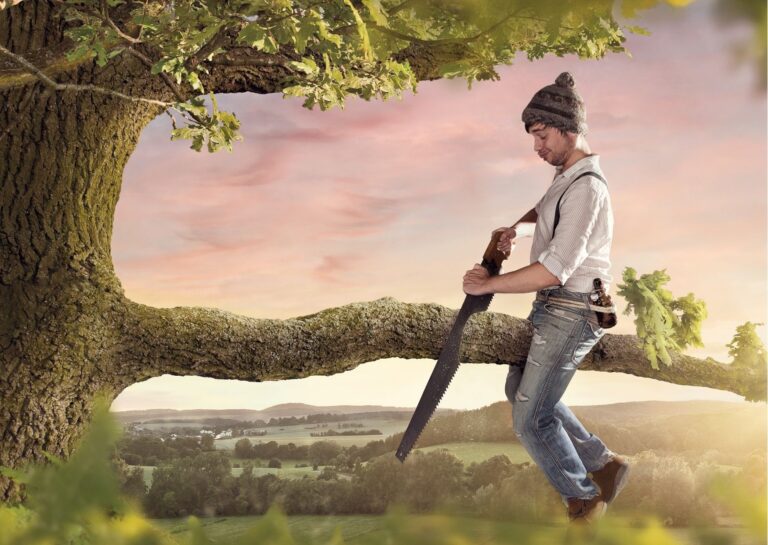 「知らない」スタンスは吸収力抜群！